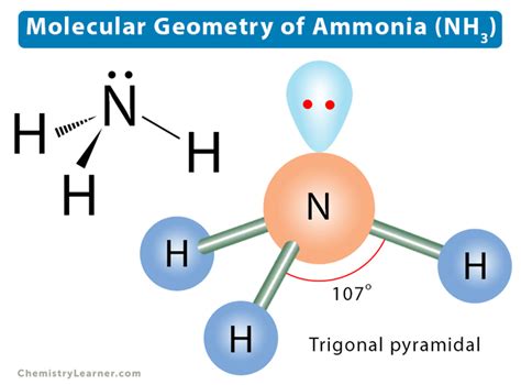 nh3 electron dot structure|nh3 structure geometry.